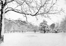 502738 Gezicht in het Park Oog in Al te Utrecht, tijdens winterse omstandigheden.